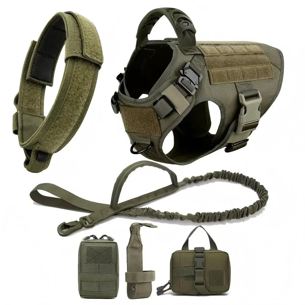 A tactical dog harness with a molle system and leash attachments shown in various components.