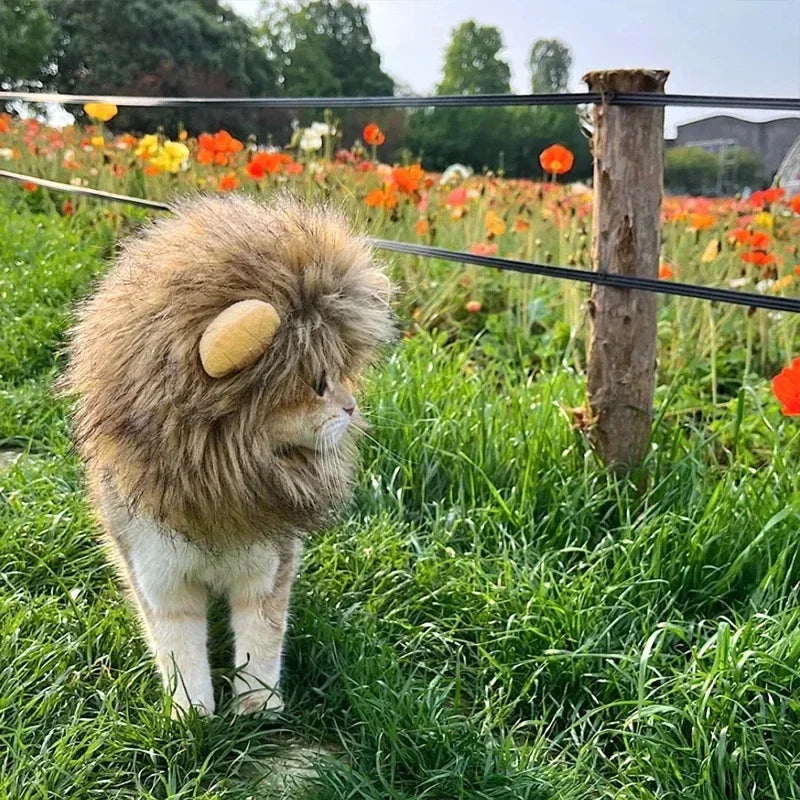 Sombrero de Melena de León para Mascotas