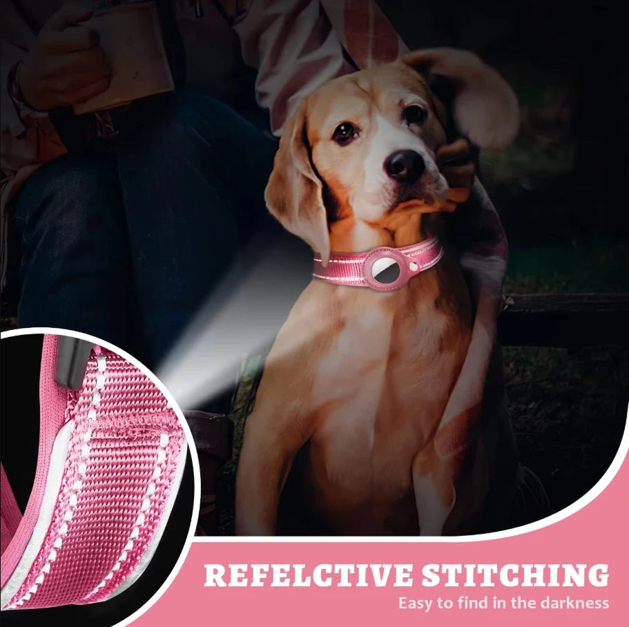 A golden retriever wearing a pink reflective stitching dog collar with a built-in AirTag holder.