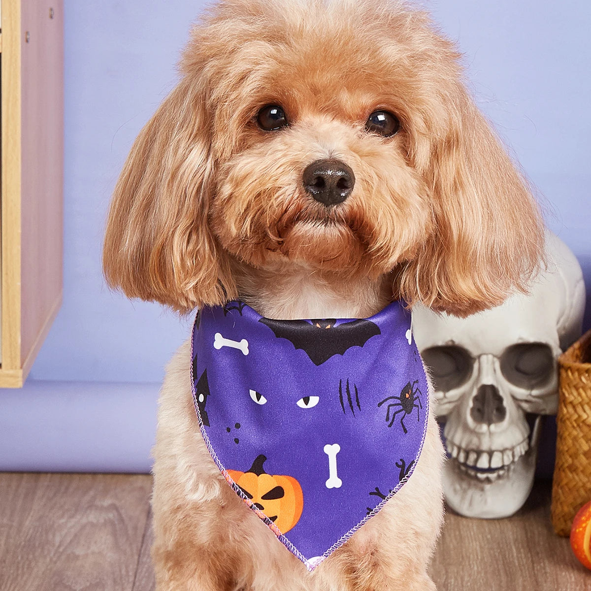 Halloween Dog Bandana with Pumpkin and Spider Web Design