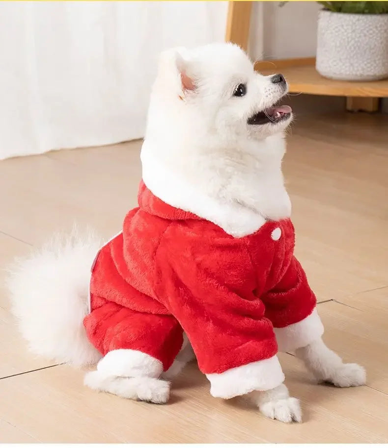A white dog wearing a red fuzzy jumpsuit costume.