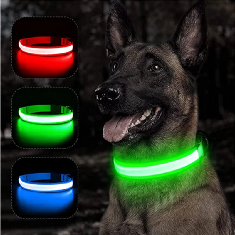 A German Shepherd wearing a glowing LED collar with multiple color options displayed in inset circles.