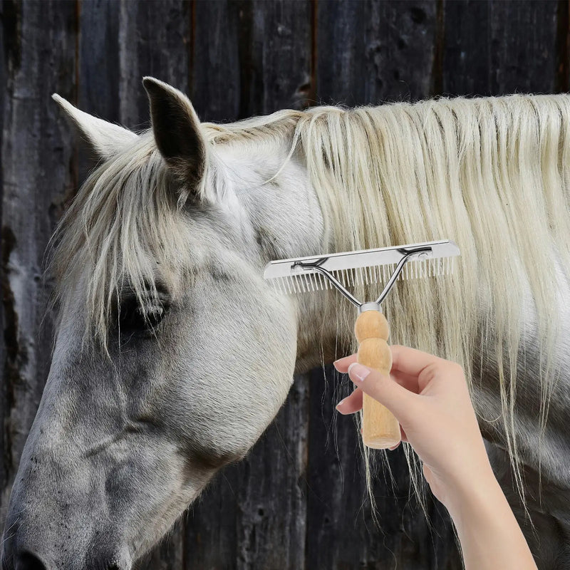 Peigne d'Équitation Ergonomique