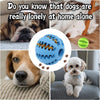Balle interactive distributeur de friandises pour chien