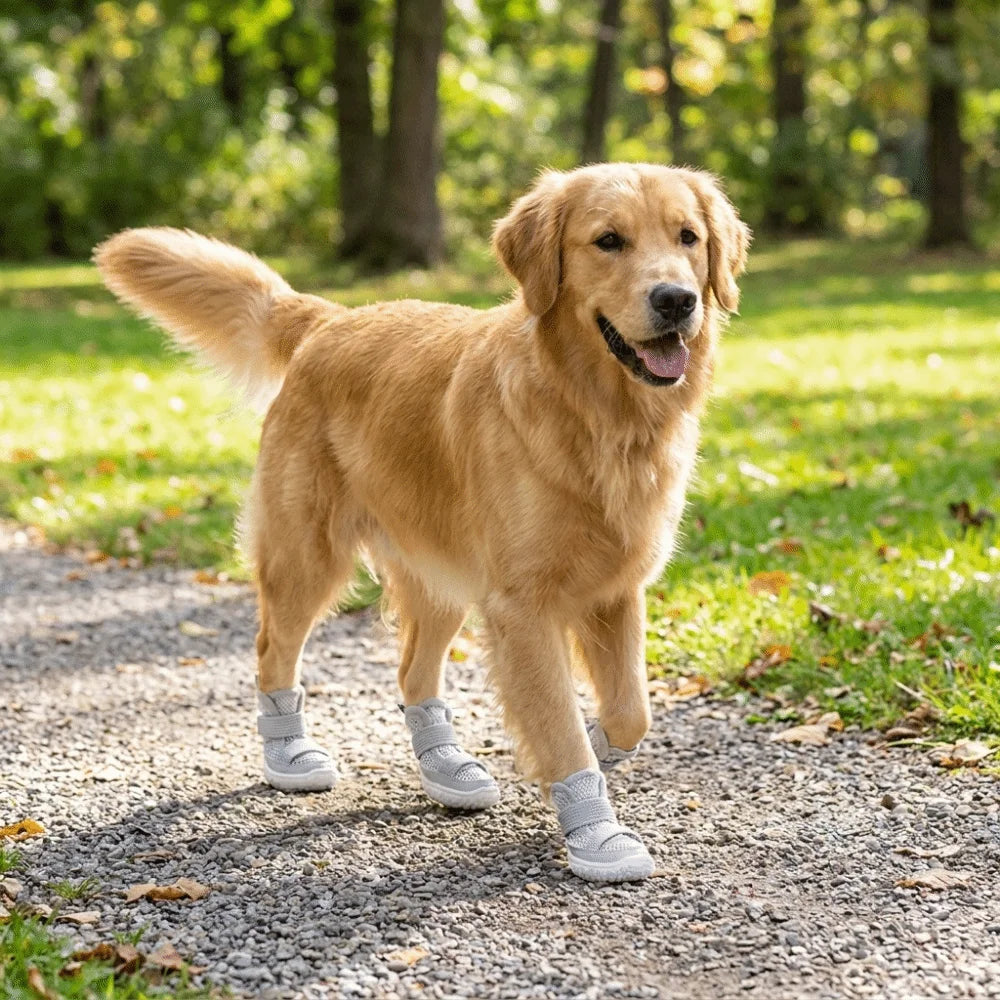 Breathable Anti-Slip Dog Shoes with Adjustable Straps