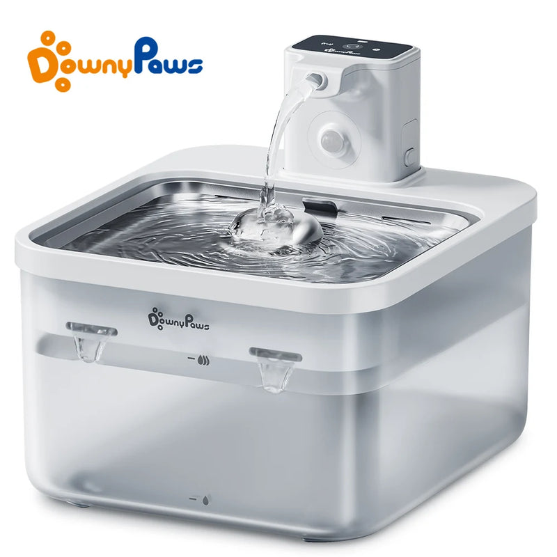 Fontaine à eau automatique pour chat en acier inoxydable