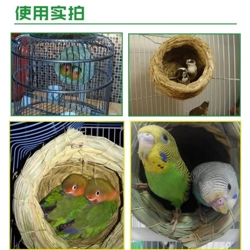 Nid d'oiseau en paille naturelle tissé à la main, montré en différentes tailles et contextes.