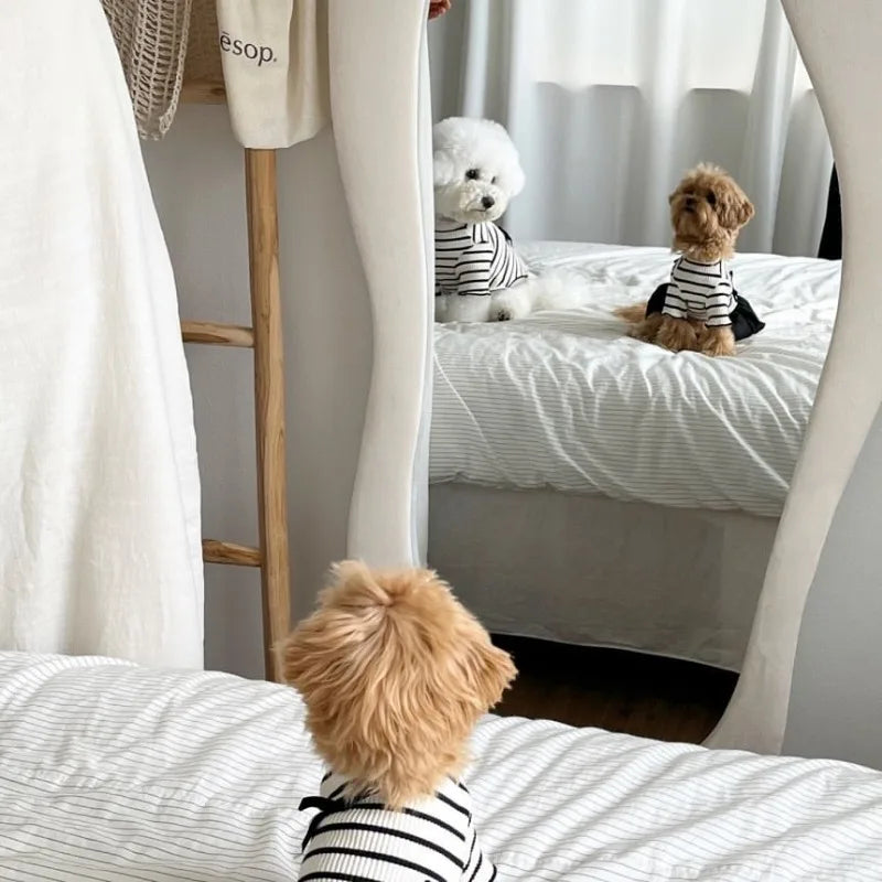 Striped Bow Accent Dog Dress with Flutter Sleeves for Small Breeds