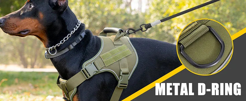 A black dog wearing a tactical harness with a metal D-ring attached to the collar.