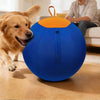 Interactive Large Dog Ball with Wrist Strap
