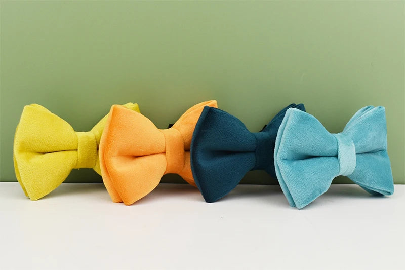 Velvet Adjustable Dog Collar, Leash and Harness Set