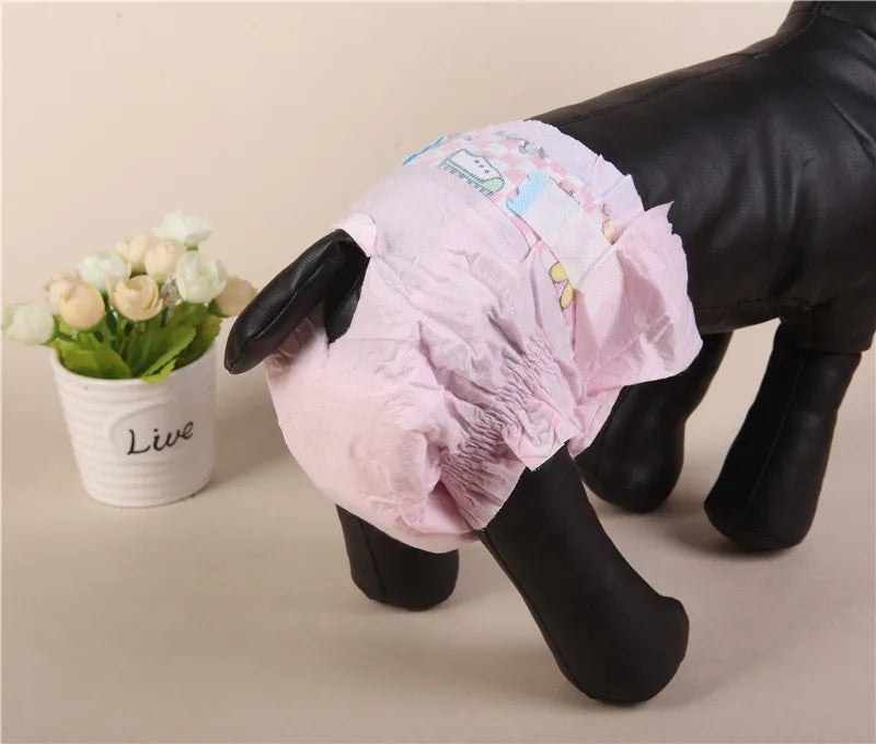 Pink disposable sanitary diaper shorts for female pets shown on a black paw.