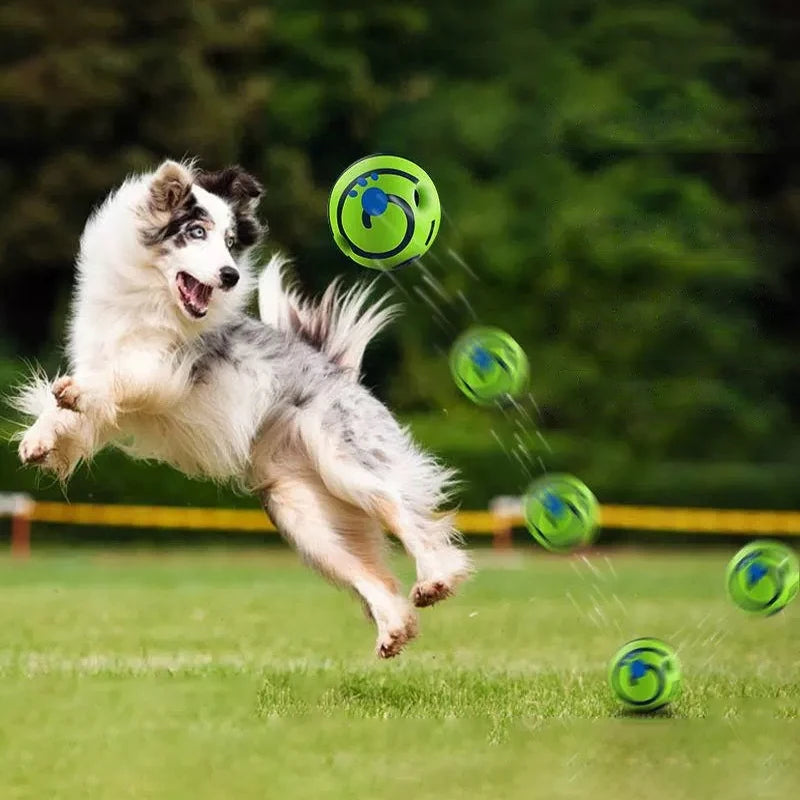 A fluffy dog is jumping to catch a green interactive wobble ball in a grassy field.