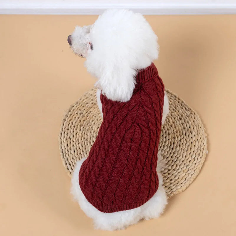 A white, fluffy dog wearing a maroon knit turtleneck sweater and a beige knitted hat.