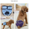 Reusable Dog Diapers for Heat Cycles and Incontinence