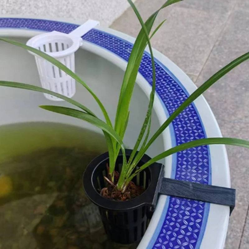 Wall-Mounted Aquarium Plant Basket with Hanging Hook