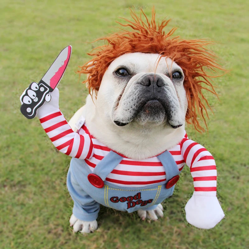 A bulldog wearing a red and white striped shirt and blue overalls with an orange collar, resembling the Chucky doll.