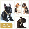 A display of a durable diamond Cuban chain pet collar for dogs and cats on various breeds.