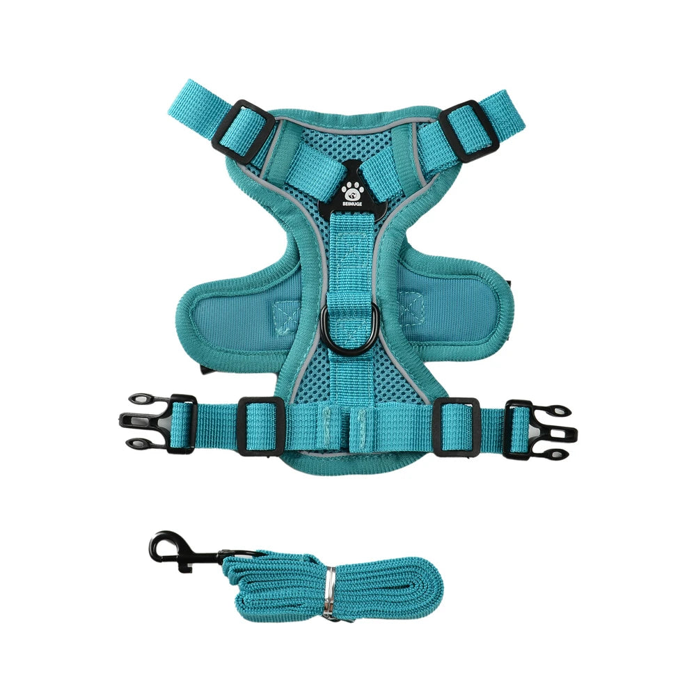 A teal pet harness with a mesh chest and attached leash is shown against a white background.
