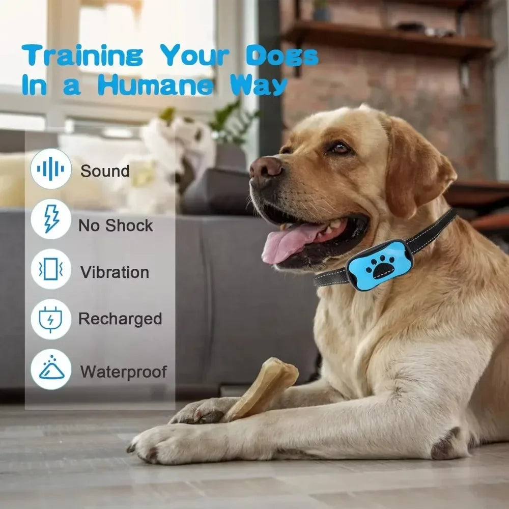 Rechargeable Waterproof Anti-Bark Training Collar for Dogs and Cats