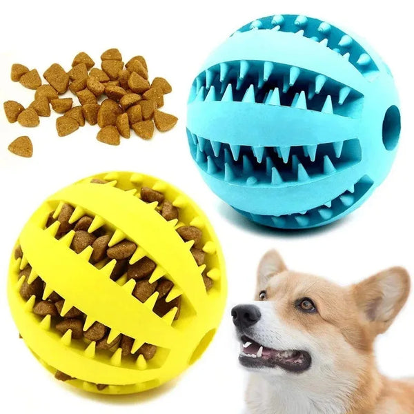 Balle en caoutchouc naturel pour chiens