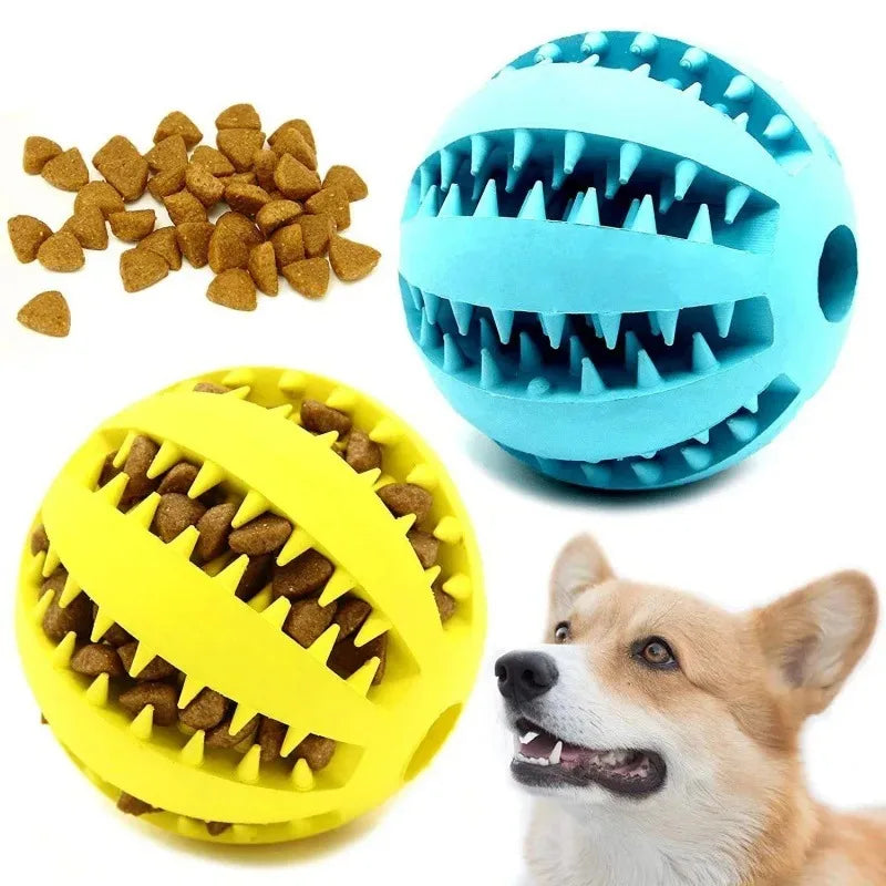 Balle en caoutchouc naturel pour chiens