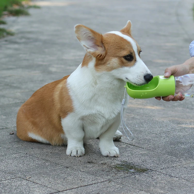 Portable 2-in-1 Dog Water Bottle and Food Dispenser