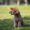 Gorra de Béisbol Ajustable para Perros