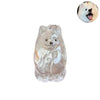 Pet Hair Keepsake Keychain with Transparent Capsule