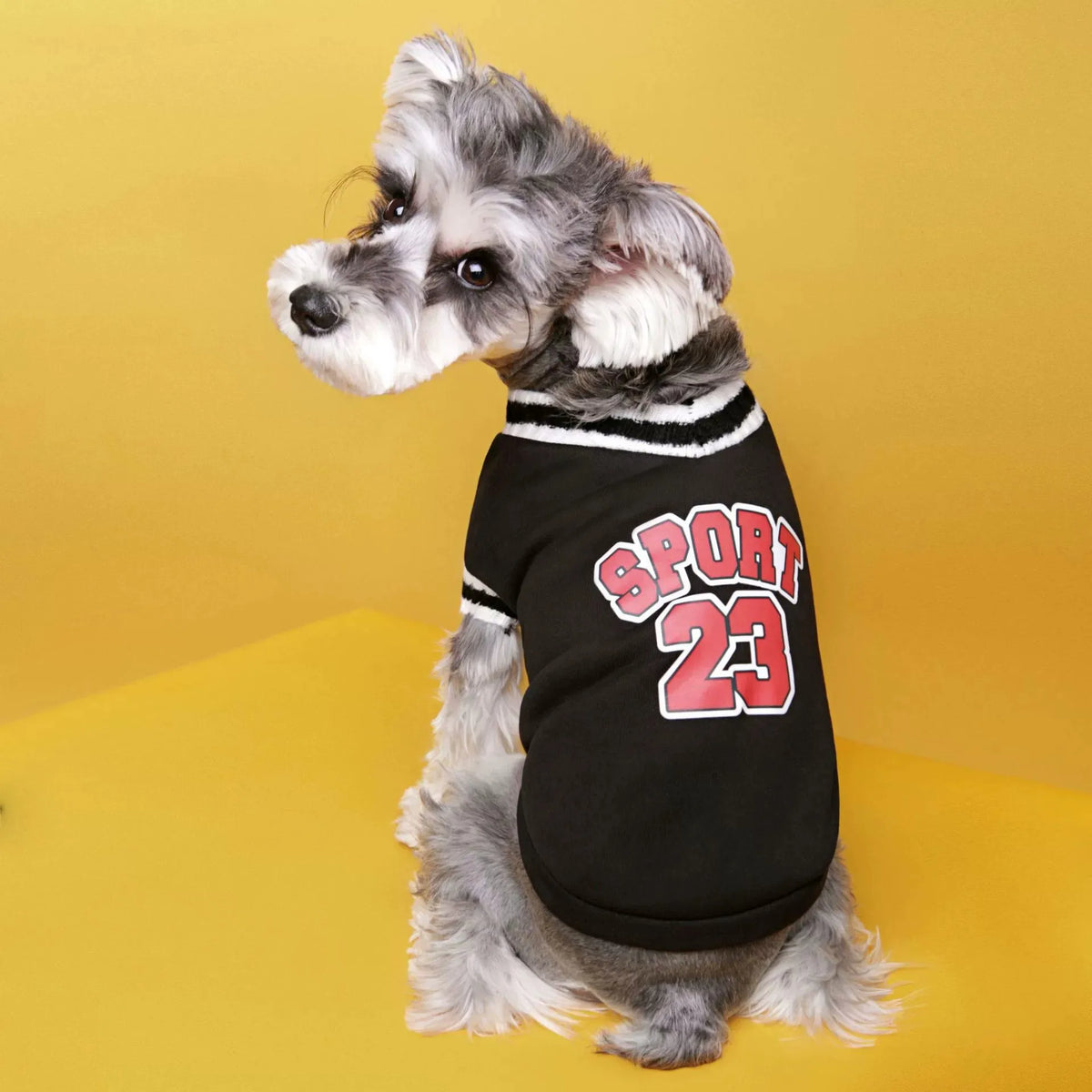 Classic Cotton Knit Dog Sweater for Small & Medium Breeds