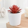 A vibrant reddish-orange artificial cactus succulent bonsai plant in a white ceramic pot sitting on a wooden surface.
