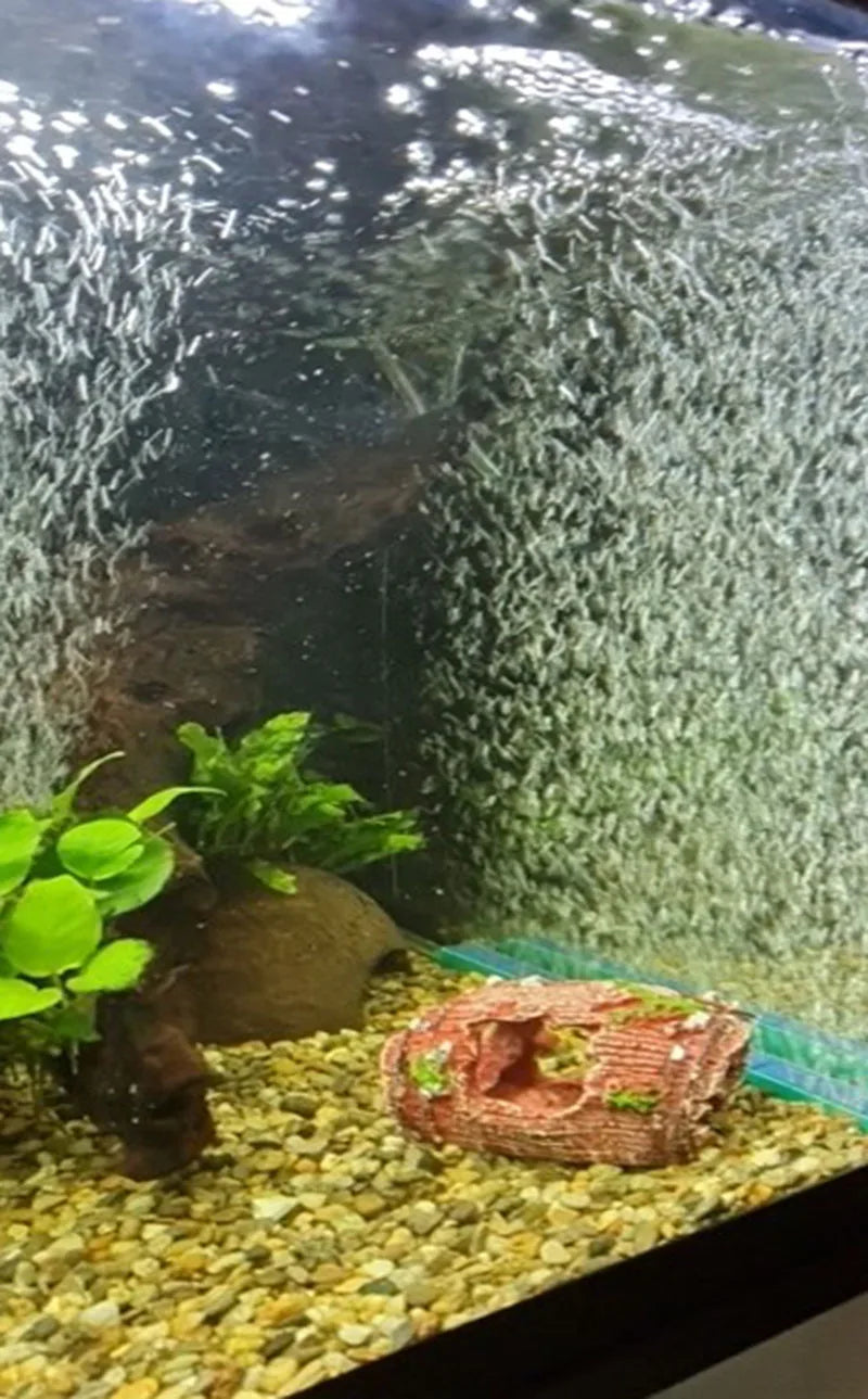 Barre de pierre poreuse pour aquarium