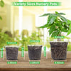 Clear Plastic Nursery Pots with Drainage Holes (Pack of 30)