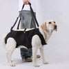 Dog Lift Harness with Handle for Mobility Support