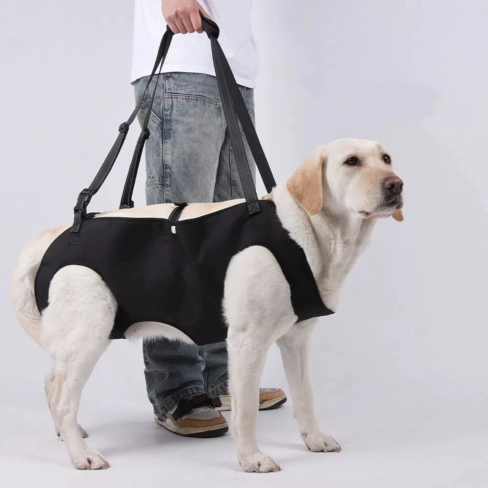 Dog Lift Harness with Handle for Mobility Support
