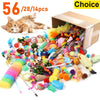 A box of assorted cat toys, including feathers, yarn, and small plastic items, next to a kitten.