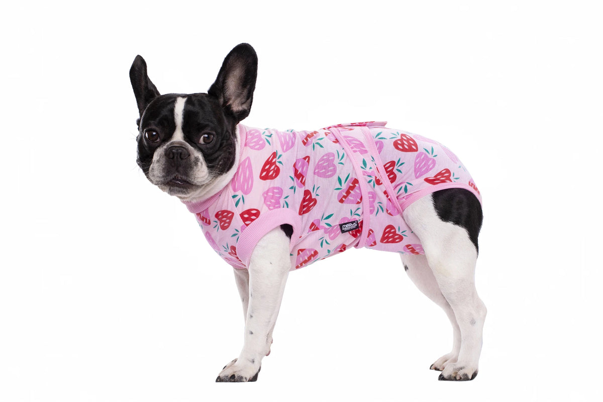 A black and white dog wearing a pink patterned recovery suit.