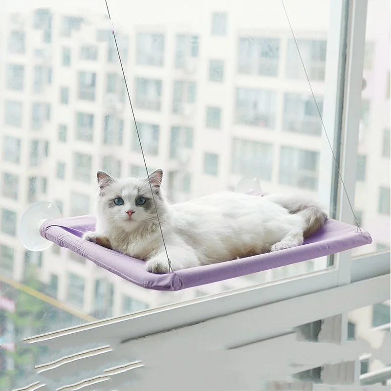 Hamac Lit pour Chat à Fixation Fenêtre