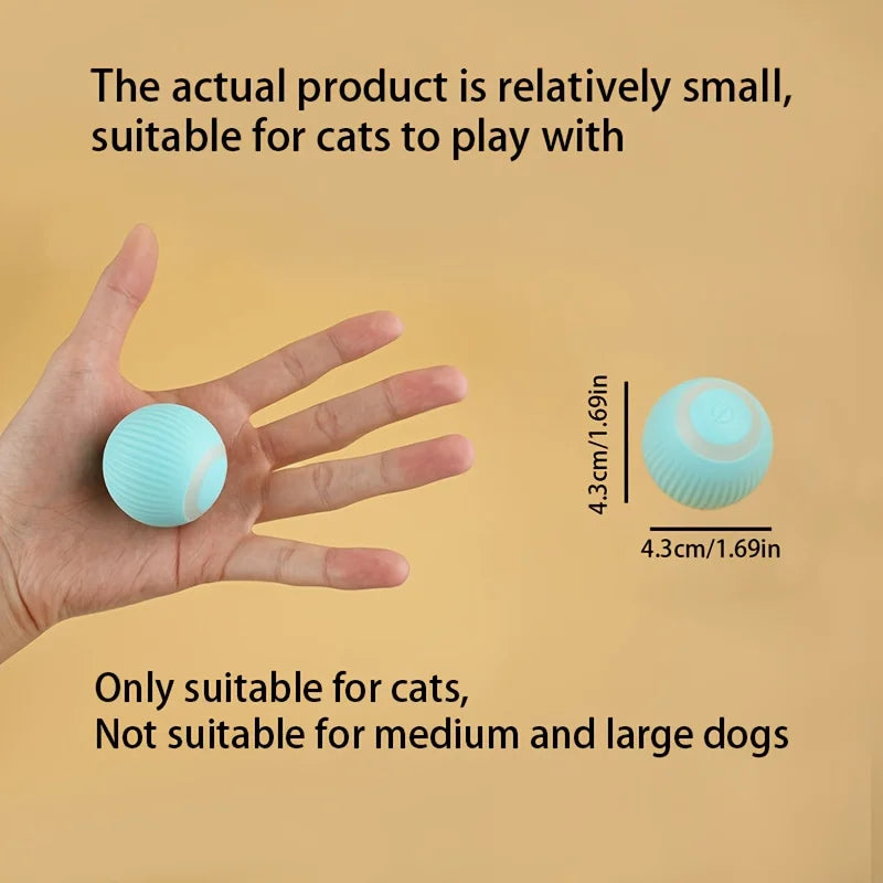 Automatischer interaktiver Hundespielball