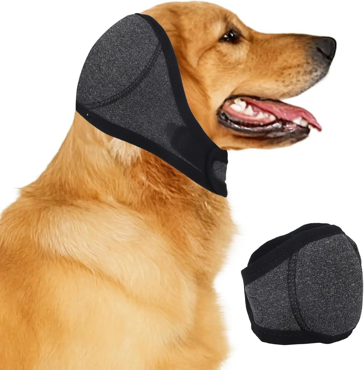 A golden retriever wearing a black adjustable dog ear cover for noise relief.