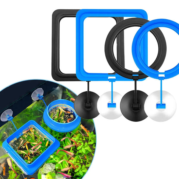 A set of blue and black floating feeding rings for an aquarium, with one ring containing food.