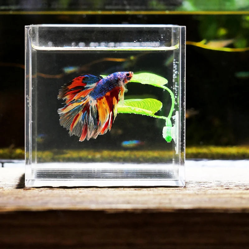 Betta Fish Rest Leaf Hammock with Suction Cup