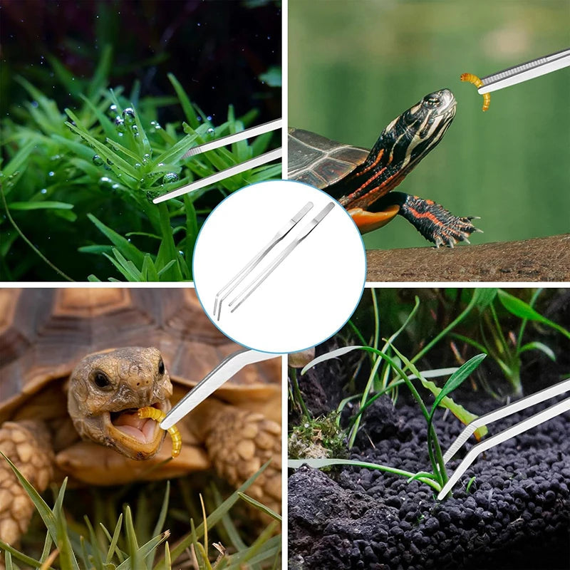 Pince à aquarium en acier inoxydable pour manipuler de petits organismes aquatiques ou du matériel végétal.