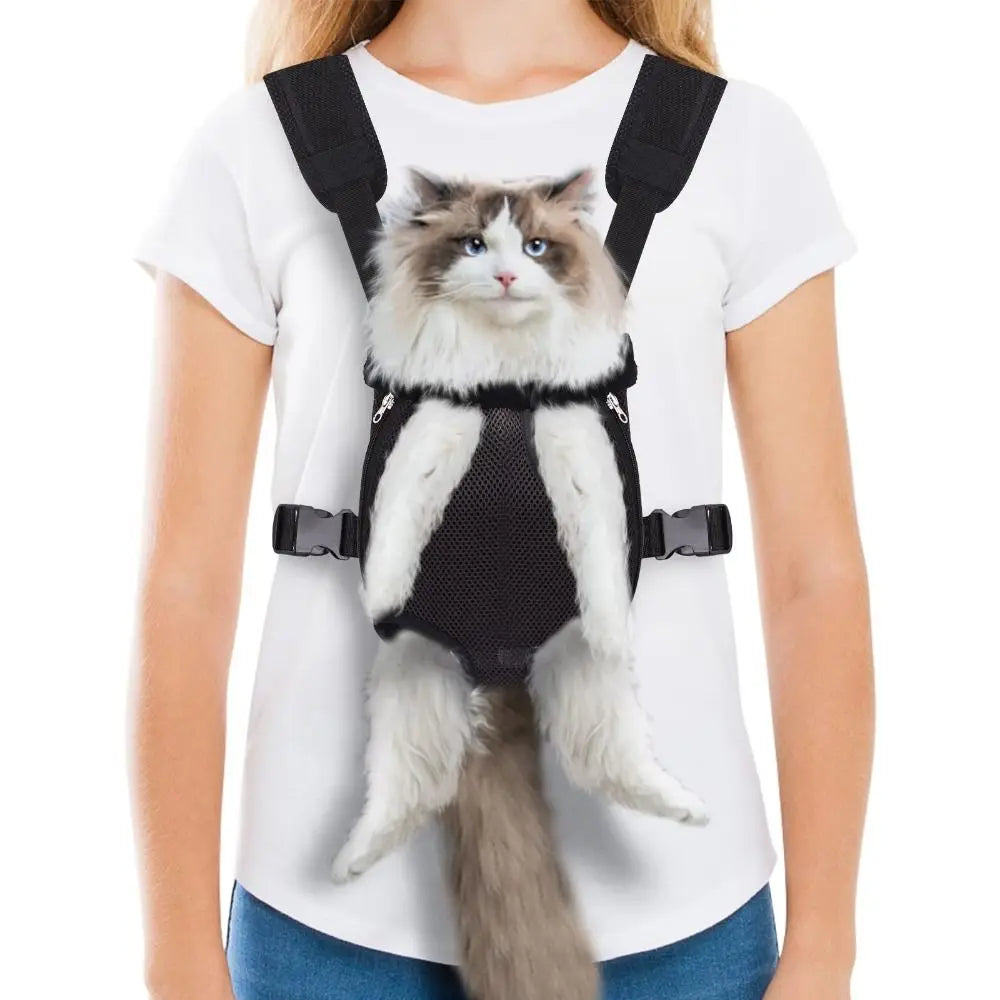 A fluffy gray and white cat is shown wearing a black convertible pet carrier backpack on a person's torso.