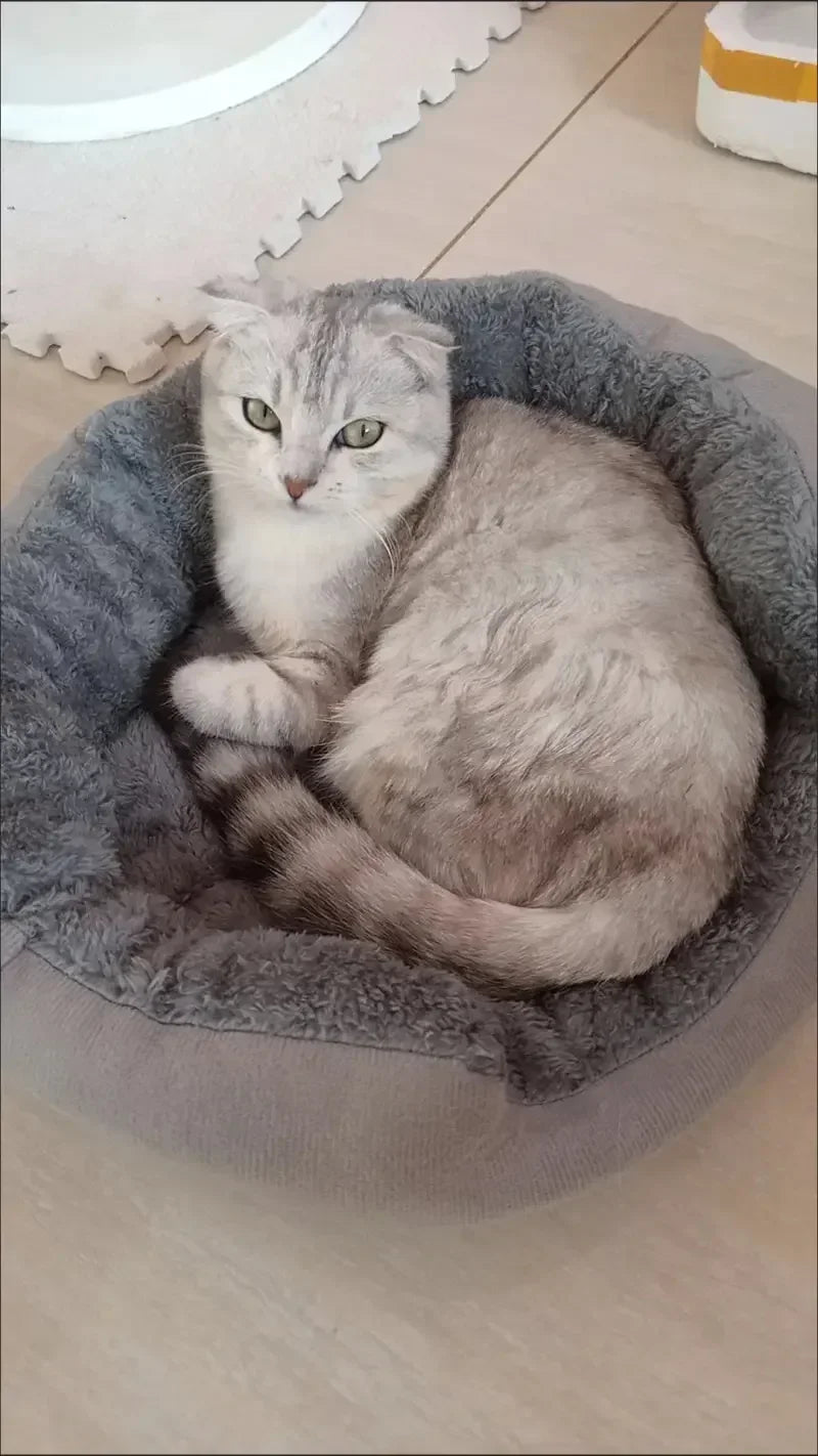 Cozy Plush Dog Bed with Soft Cotton Cover