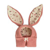Cozy Knitted Rabbit Ears Pet Hat