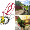 Bird Harness and Leash Set for Outdoor Adventures