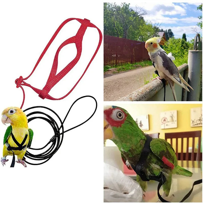 Bird Harness and Leash Set for Outdoor Adventures