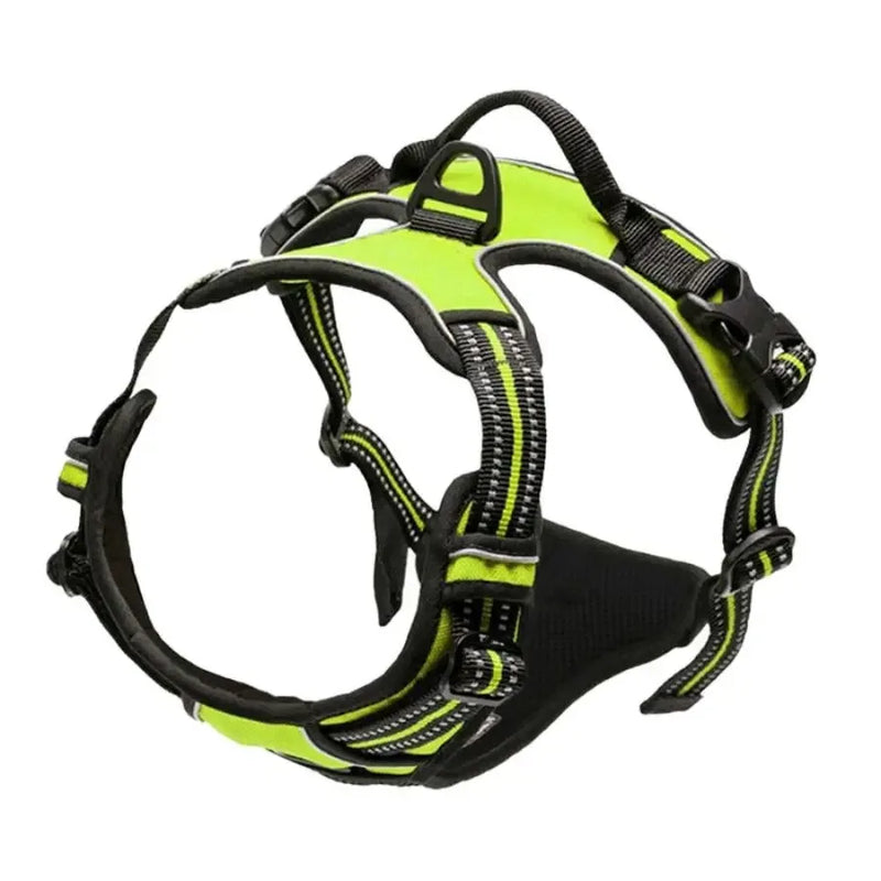 Hundegeschirr-Set aus Leder: Halsband, Geschirr & Leine