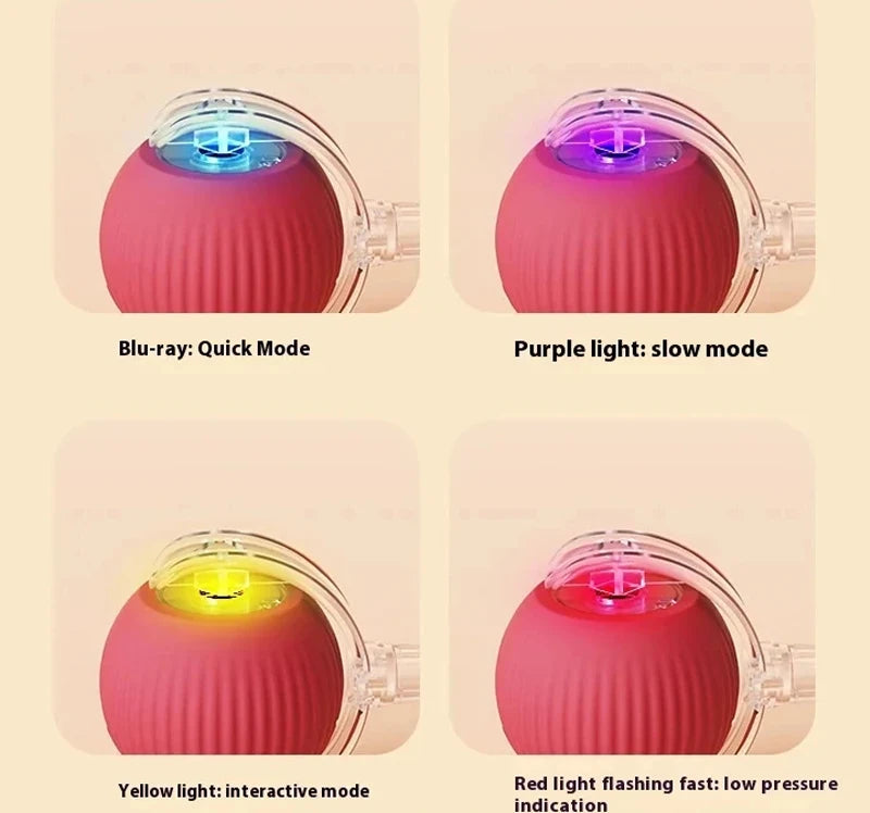 Cat Interactive Ball Toy for Kitten